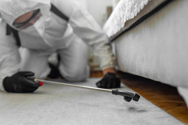Professional Cockroach Control technician working in Hollywood, FL