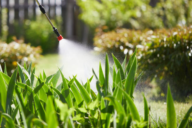 24/7 Emergency Cockroach Control experts in Hollywood, FL