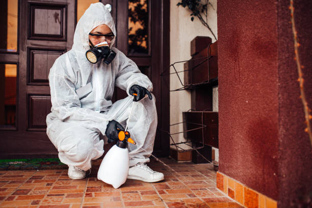Reliable Cockroach Control contractor in Hollywood, FL by Nex Pest Control