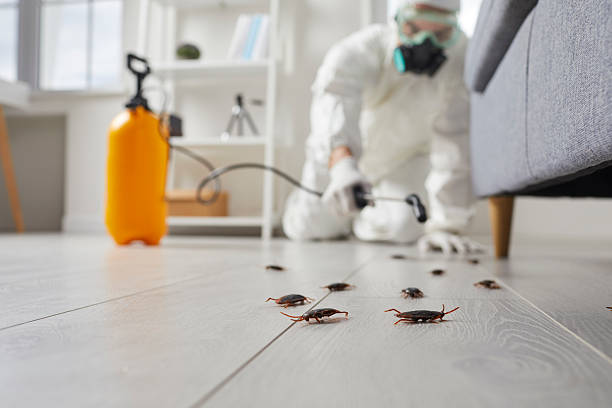 Affordable Cockroach Control solutions in Hollywood, FL